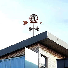 Fish Functional Weather Vane Wind Direction Indicator Weather Vane Roof Mount, Weathervane Measuring Tool Windblown Flying Roof Garden Metal Decorations