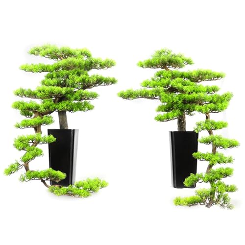 DUYHBAWRS Hotel Sample Room Creative Welcome Pine Bonsai Home Living Room Porch Bonsai Decoration