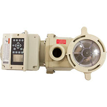 Pentair 011028 IntelliFlo VS Pool Pump, Almond