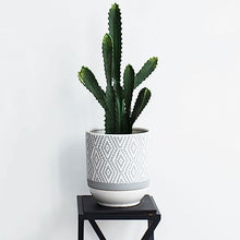 iumLeap Outdoor Indoor Garden Plant Pots European-Style Living Room Ceramic Flowerpot Home Simple White Special Large-Caliber Vase Plant Container Accessories