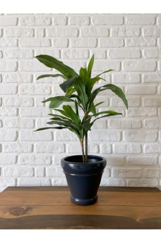 SODEF Italian Series Ceramic Plant Pot with Saucer, 10 inch Diameter, 7.9-9.8 inch Height, Charcoal Color, Standard Size, Modern Style for Indoor and Outdoor Use - Charcoal