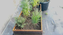 Extra Wide Corten Steel Planter Trough