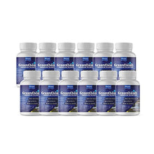 BioSafe Systems 3002-2.5 GreenClean Granular Algaecide, 2.5 lbs., (Case of 12), Algae Control for Koi Ponds, Fountains, Waterfalls, and Water Features, EPA Registered