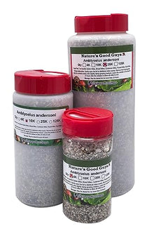 125,000 Predatory Mites Amblyseius andersoni Bottle