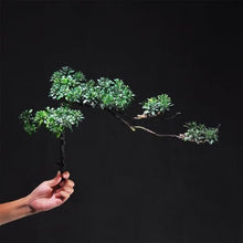 HCZKIUJ Bonsai Simulation Welcome Pine with Black Round Pot Arrangement Home Living Room Potted Plants Desktop Plant