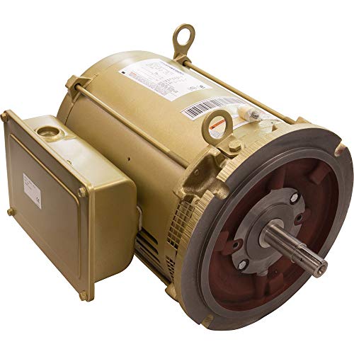 Pentair 357204S 7-1/2 HP Single Phase Motor Replacement Pump