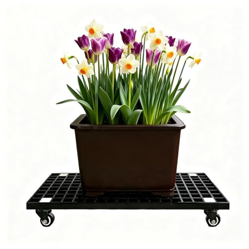 Rectangular Plant Stand with Lockable Wheels Heavy Duty Potted Plant Caddy for Indoor Outdoor Rolling Dolly Casters to Carry Potted Flower Pot, for Patio Yards Gardens Balconie(Black,77x50cm)
