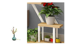 ZOCWJK Flower Stand Wrought Iron Bedroom Dormitory Flower Shelf Flower Pot Rack Multi-Layer Floor Plant Stand Plant Stand,