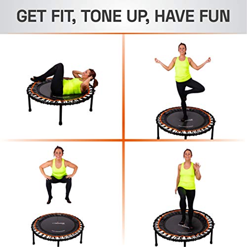 MXL MaXimus Life FIT BOUNCE PRO XL Premium Bungee Rebounder Black