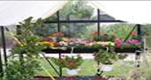 Exaco Trading Company ST236 Junior Victorian Seed Tray, Black Shelf