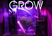 Kessil H160 Tuna Flora LED Refugium Grow Light