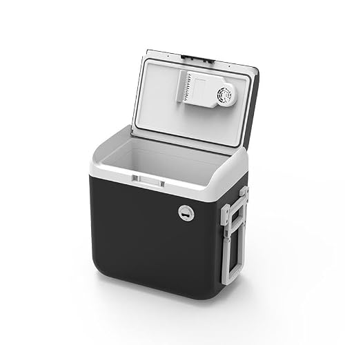 AWMGPDDBTO Mini Fridge 40L Portable Car Cooler