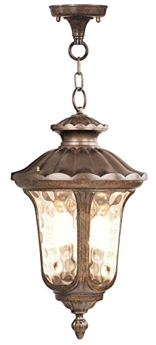 Livex Lighting 7665-50 Oxford 3-Light Outdoor Hanging Lantern, Gold