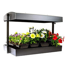 SunBlaster LED Indoor Growlight Garden, Home Growing Kit