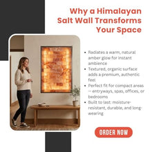 PSW Himalayan Salt Wall Kit, 28x40 Inch, with Full & Half Bricks, Salt Adhesive, LED Strip, Visual Installation Guide