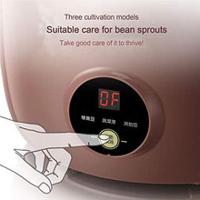 Bean Sprouts Machine, LED Display Time Control, 2 Layers Function Large Capacity Seed Grow Cereal Tool, Seed Sprouting Kit With Double Germination Tray