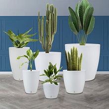 Floridis Planter Set of 6 Outdoor Indoor High Density Polyethylene White