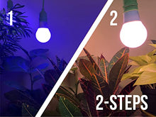 Miracle LED Plant Life Cycle 3-Socket Synchronized Grow Light Kit with 3 Blue Spectrum Ultra Grow Bulbs and 3 Red Spectrum Multi-Plant Bulbs and Sproutmatic All-Weather Timer Controls (3-Pack)