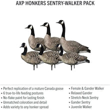 Avian-X AXP Specklebelly Decoy Fusion Pack 12 Pack