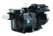 Pentair 343001 Pool Pump