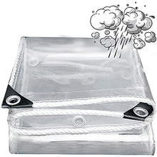 Heavy Duty PVC Transparent Tarpaulin, Clear Vinyl Tarp Cover 0.15mm Moisturizing Awning Canopy Patio Enclosure, Flower-Plant Leaf Covered Rainproof,Clear_4x4m/12x12ft (Clear 2x10m/6x30ft)