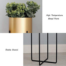 KAJIAO Indoor Plant Stand|Living Room Metal Display Shelf| Iron Art Garden Herb Bonsai Shelves|Outdoor Balcony Decoration Flower Rack - Set of 3