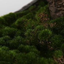 Artificial Bonsai Tree Simulation Bonsai Cliff Cypress Welcoming Pine Green Plant Bonsai Home Living Room Office Desktop Porch Decoration Office Decoration Bonsai