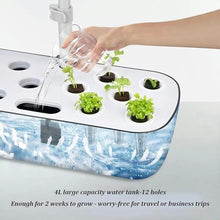 FLTRGO Indoor Hydroponic System,Aeroponics Growing Kit,Indoor Hydroponics Growing System,for Herbs, Fruits and Vegetables,with Hydrating Pump, Adapter, Net Pots.