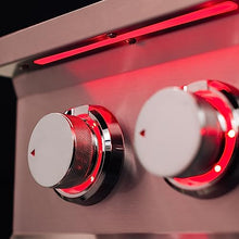 TrueFlame Power Burner, 60,000 BTU Output Built-In Natural Gas Burner