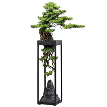 QWERAXZG Artificial Green Plant Bonsai Floor Decoration Living Room Porch Hotel Corridor Fake Tree Pot