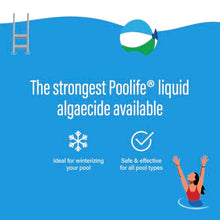 poolife Super Algae Bomb 60 (1 qt) (12 Pack)
