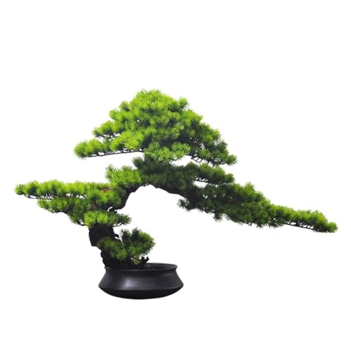QWERAXZG Bonsai Hotel Living Room Office Porch Home Zen Decorative Pieces