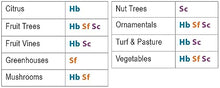 Beneficial Nematodes Steinernema carpocapsae SC - Biological Flea Control (500 Million)