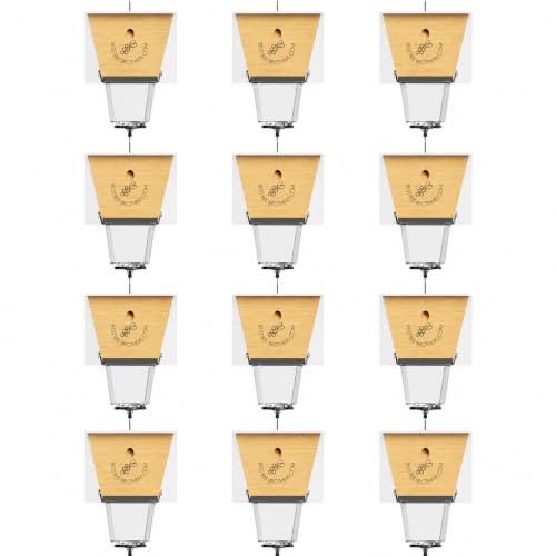 Ultimate Pro Outdoor Carpenter Bee Trap by Best Bee Brothers, White 12-Pack