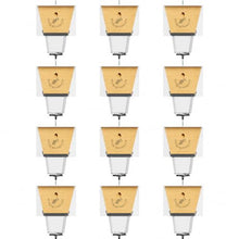 Ultimate Pro Outdoor Carpenter Bee Trap by Best Bee Brothers, White 12-Pack