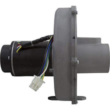 Pentair Blower Kit, MasterTemp 300, NAT.