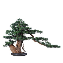 MVUYO Bonsai Indoor Simulation of Green Plant Potted Living Room Floor Housewarming Gift Decoration