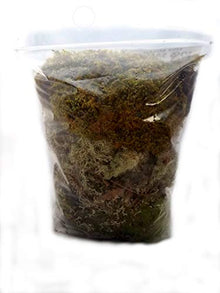 EZ Botanicals Live Mixed Moss Sampler - Premium Terrarium Grade - Pest Free (100 Quart (25 Gallon))