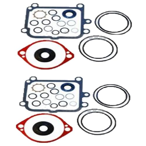 2PK Overhaul Seal Kit for Hydro Gear 2513018 BDP-10L