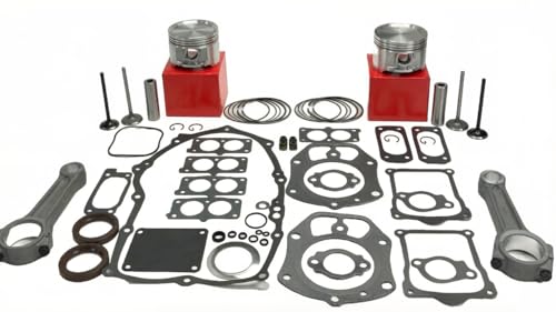 ENGINE REBUILD KIT 020" 842939 841837-20 Replacement for BRIGGS OEM
