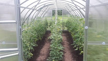 Klasika Baltic LT 3x8m Greenhouse, Aluminum Frame, 6mm Polycarbonate