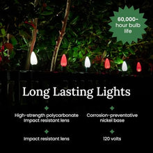 Pro Christmas Outdoor C9 Pathway Light Kit, Red/White/Blue, 100 Bulbs, 100'