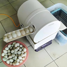 UILMLIO Electric Egg Washing Machine, Egg Washer Machine, Automatic Egg Washer Machine, 2300 Pcs/H Chicken Duck Goose Egg Egg Cleaner Wash Machine
