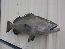 Mount This Fish Company 38" Gag Grouper Wall Mount Fish Replica Trophy Natural