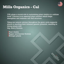 Mills - Organics Cal - Organic Calcium Fertiliser for Plants - Highly Absorbable Calcium for Larger, Fuller Flowers & Healthy Plant Growth - 20L