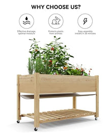 Sturdy Elevated Wooden Raised Garden Bed with Wheels and Legs – Large Planter Box with Storage Shelf, Protective Liner – Ideal for Vegetables, Herbs, Flowers – Outdoor Patio, Balcony, Backyard –
