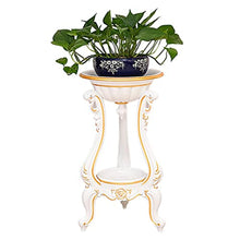 TBNLASS Living Room Flower Stands Multi-layerflower Pot Shelf Balcony Floor Hanging orchid Stand Support