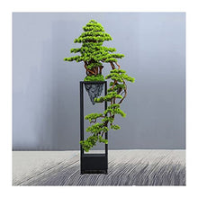 YXIANG56Q Fake Plants Large Artificial Bonsai Welcoming Pine Tree, Simulation Potted Plant Decorative Bonsai with Flower Stand, Floor Fake Tree Pot Ornaments Bonsai Tree(B)