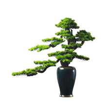 QWERAXZG Green Plant Decoration Office Home Living Room Vestibule Cabinet Gifts Hotel Soft