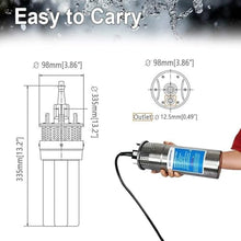 ECO-WORTHY 12V Stainless Steel Deep Well Pump Submersible Pump Kit with 12V 100Ah Lithium Battery, 20A Battery Charger, 20A Charge Controller for Well, Farm & Ranch Irrigation,Water Tank,Industrial